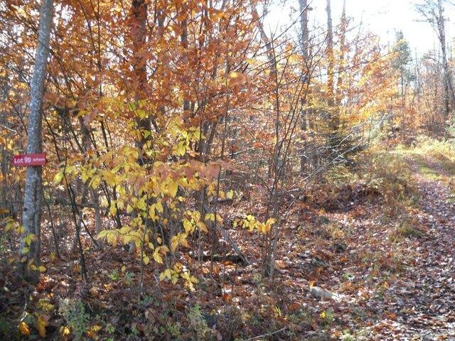 Land for sale in New Hampshire