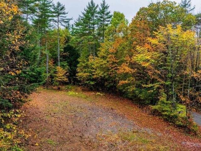 Land for sale in Orford, Grafton County