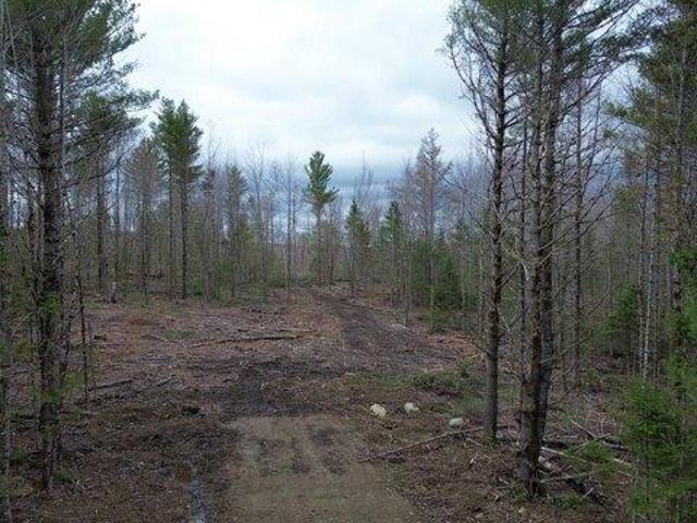 Land for sale in Orient, Maine