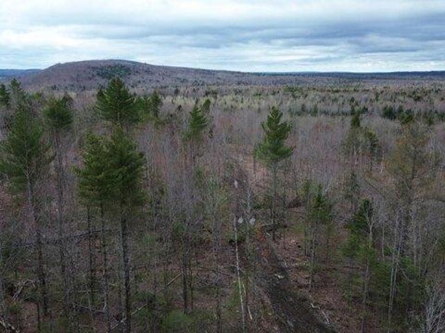 Land for sale in Orient, Maine