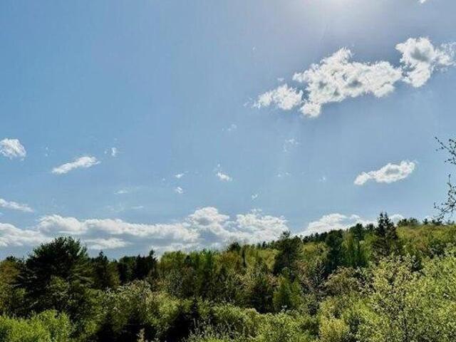 Land for sale in Orland, Maine