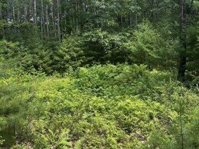 Land for sale in Orland, Maine
