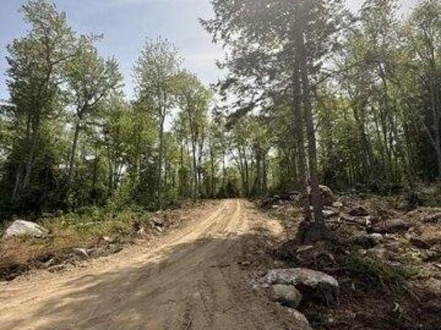 Land for sale in Orland, Maine