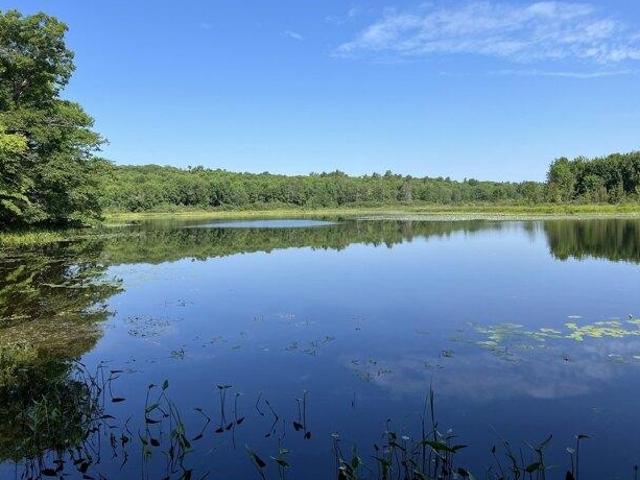 Land for sale in Orland, Hancock County