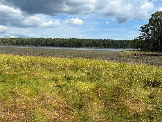 Land for sale in Orland, Hancock County