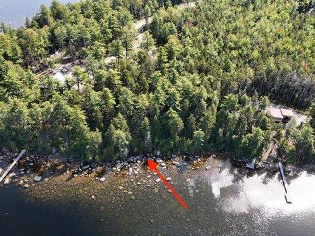 Land for sale in Orland, Hancock County