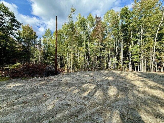 Land for sale in Winkumpaugh Corners, Orland