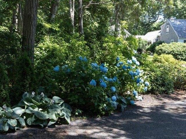 Land for sale in Orleans, Massachusetts