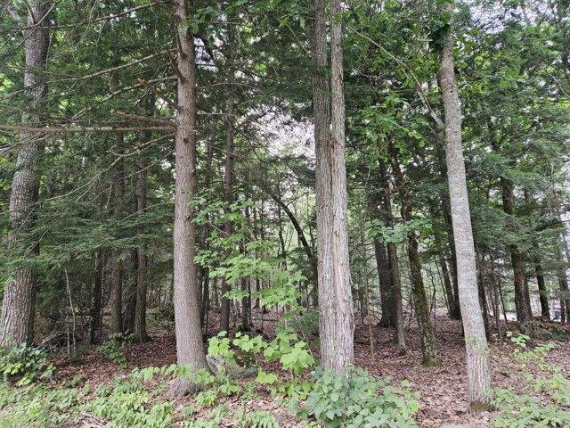 Land for sale in Orono, Maine