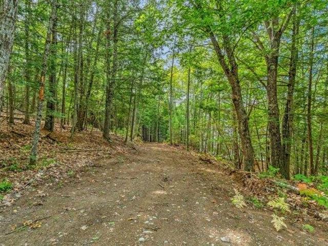 Land for sale in Orrington, Penobscot County