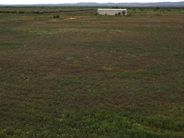 Land for sale in Orroroo, South Australia