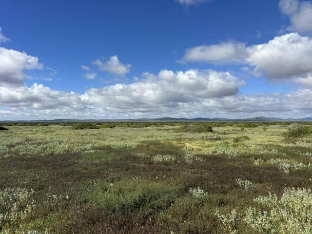 Land for sale in Orroroo, The District Council of Orroroo Carrieton