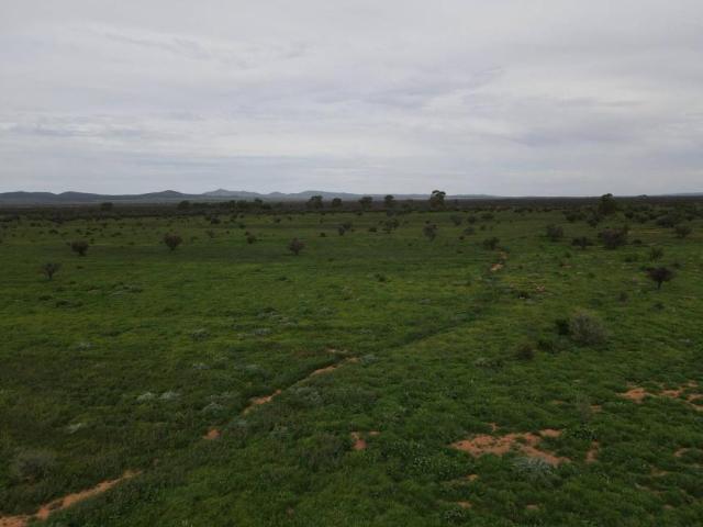 Land for sale in Orroroo, South Australia