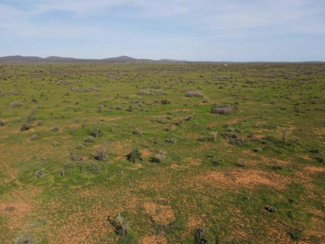 Land for sale in Orroroo, South Australia