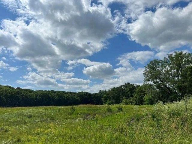 Land for sale in Osceola