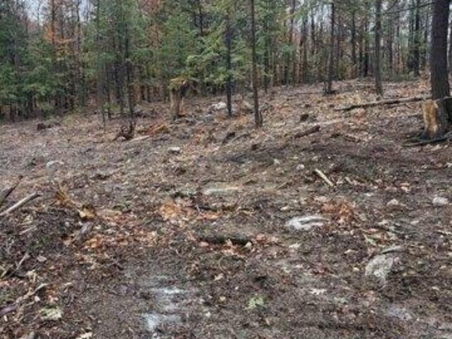 Land for sale in New Hampshire