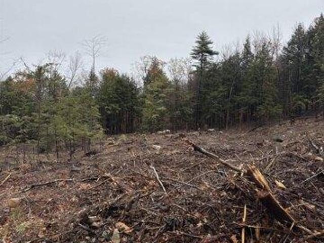 Land for sale in New Hampshire