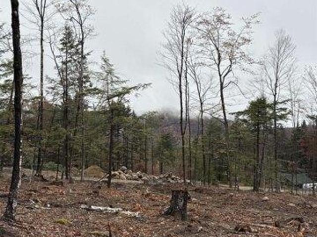 Land for sale in New Hampshire