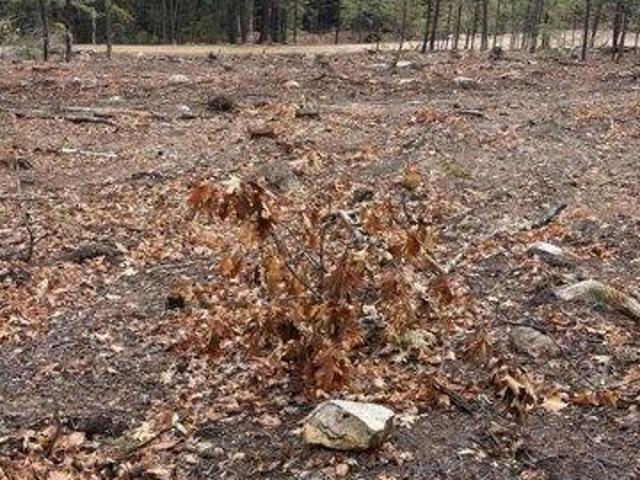 Land for sale in New Hampshire