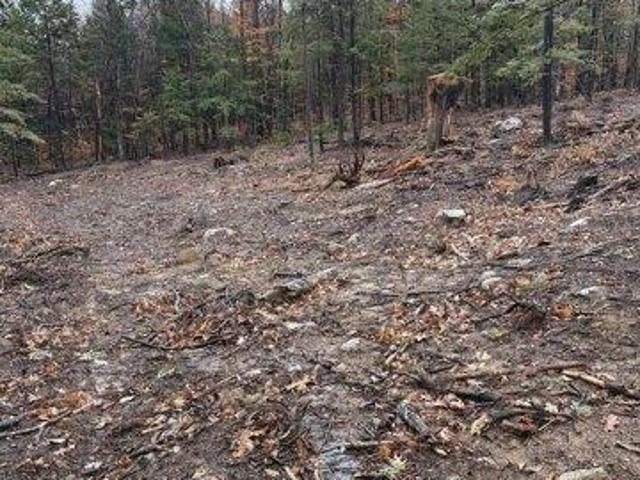 Land for sale in New Hampshire