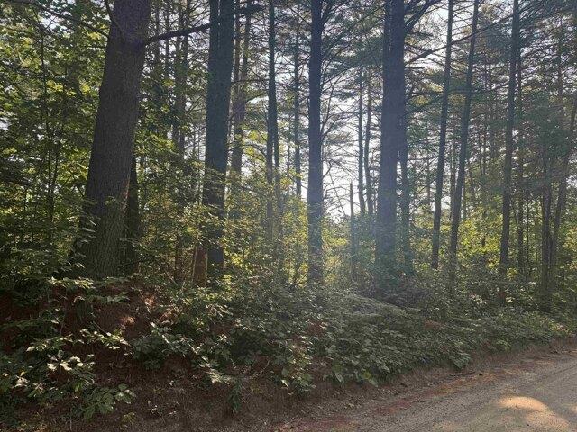 Land for sale in New Hampshire