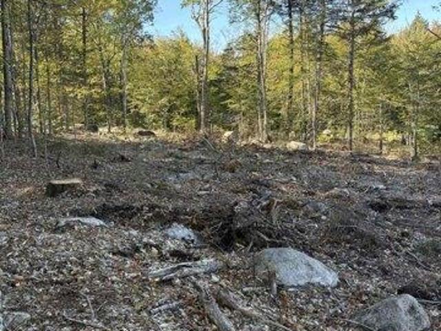 Land for sale in New Hampshire