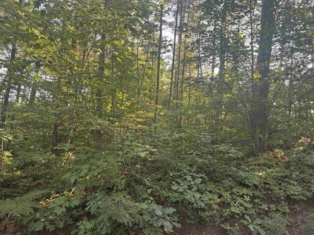 Land for sale in New Hampshire