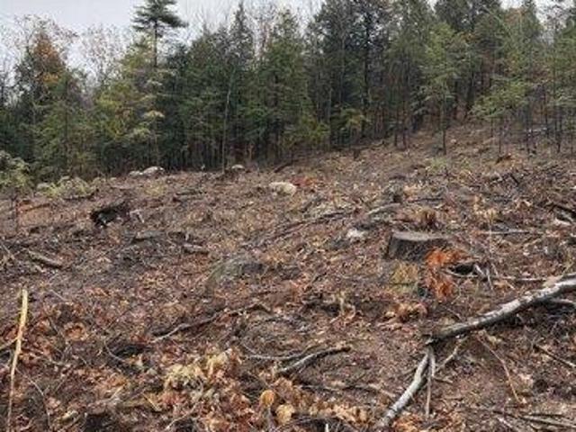 Land for sale in New Hampshire
