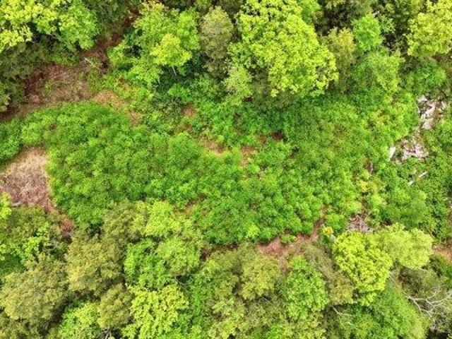 Land for sale in Berkshire, Massachusetts