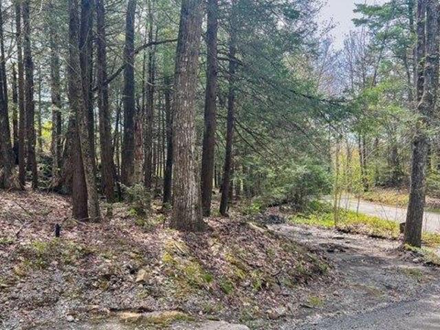 Land for sale in Berkshire, Massachusetts