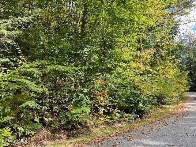 Land for sale in Berkshire, Massachusetts
