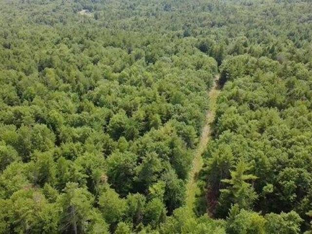 Land for sale in Maine