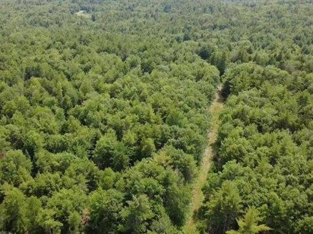 Land for sale in Maine