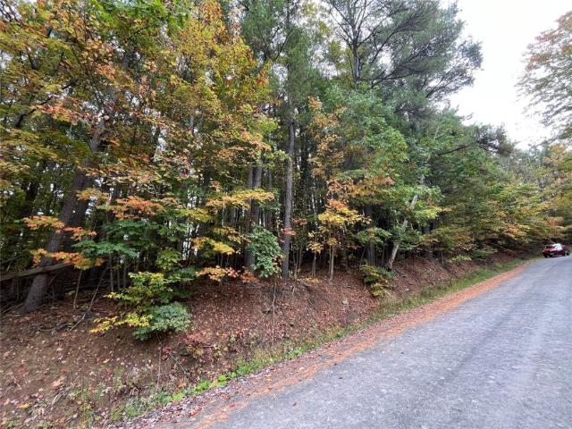Land for sale in Nichols, New York