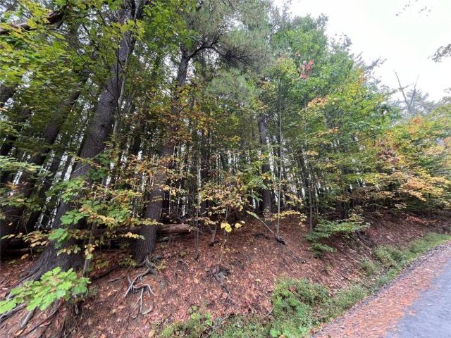 Land for sale in Nichols, New York
