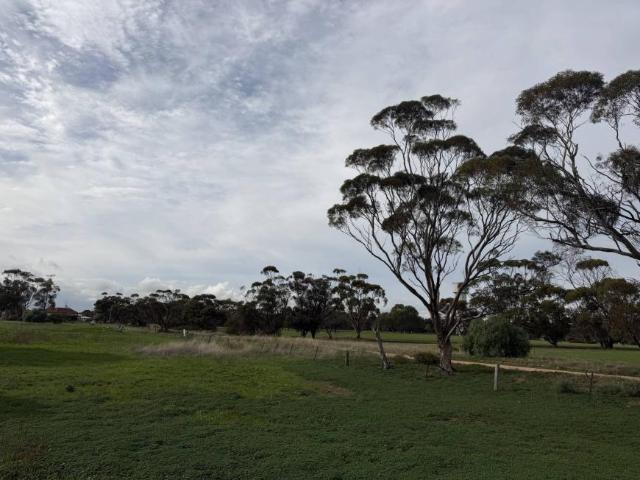 Land for sale in Owen, South Australia