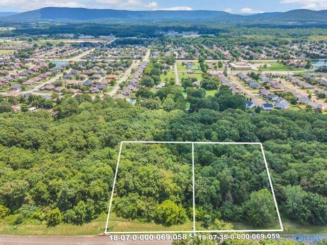 Land for sale in Owens Cross Roads Land for sale in Owens Cross Roads