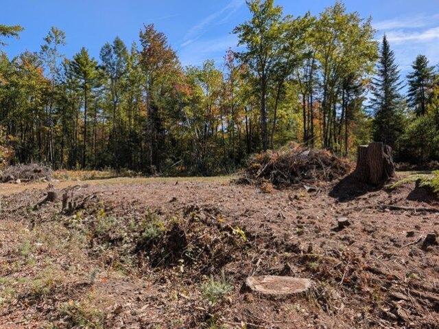 Land for sale in Oxford, Maine
