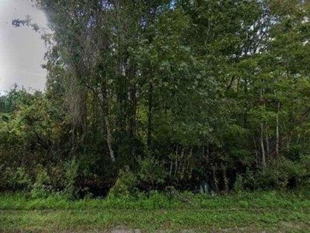 Land for sale in Palatka, Florida