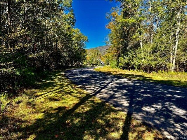 Land for sale in Catskill, New York