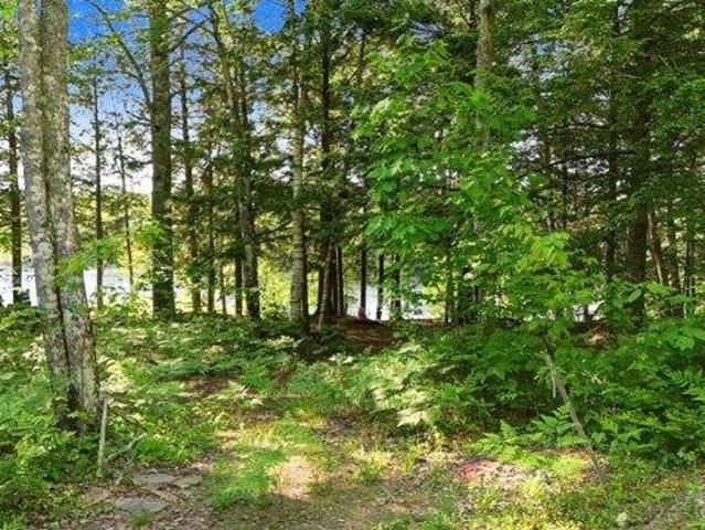 Land for sale in Waldo, Maine
