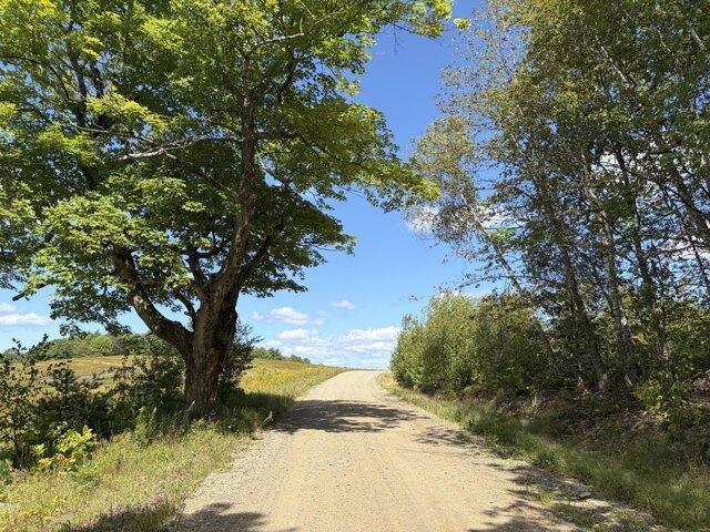 Land for sale in Waldo, Maine