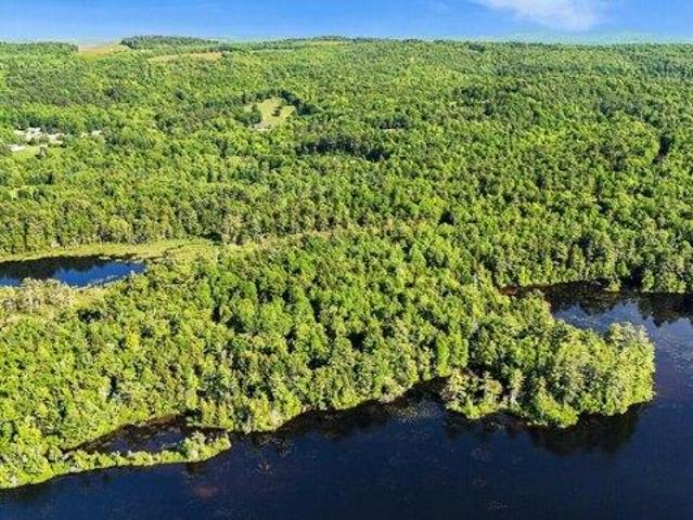 Land for sale in Waldo, Maine