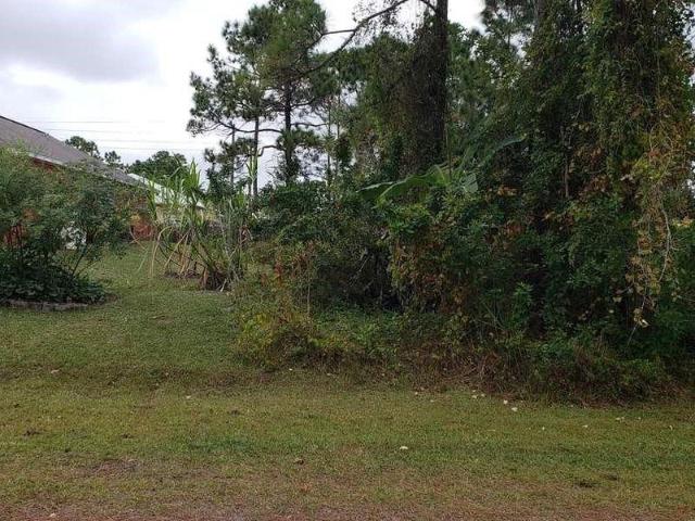 Land for sale in Palm Bay, Florida