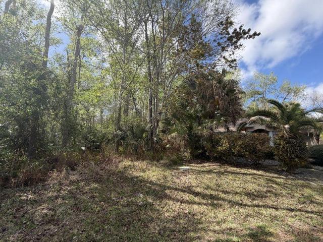 Land for sale in Palm Coast, Florida