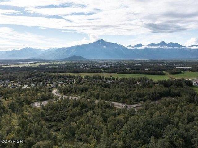Land for sale in Palmer