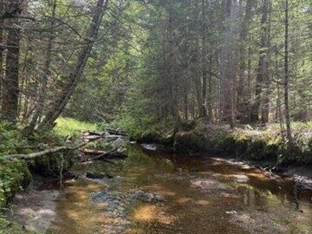 Land for sale in Paris, Maine