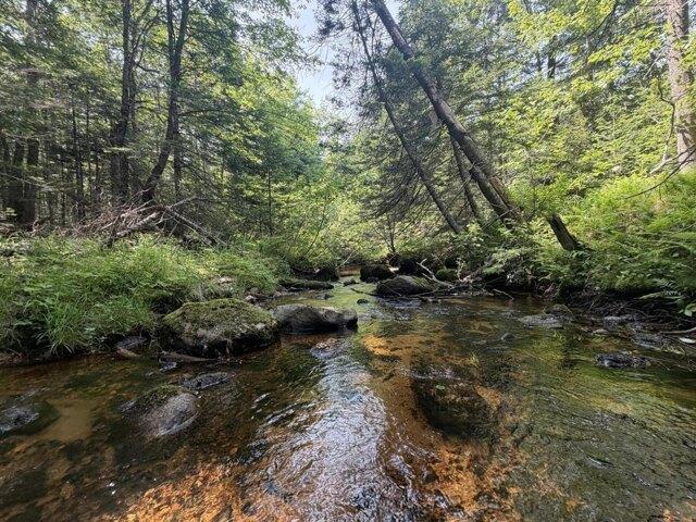 Land for sale in Paris, Maine