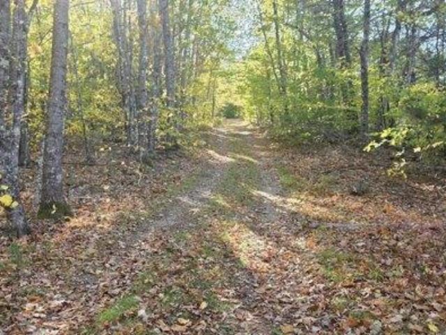 Land for sale in Paris, Maine