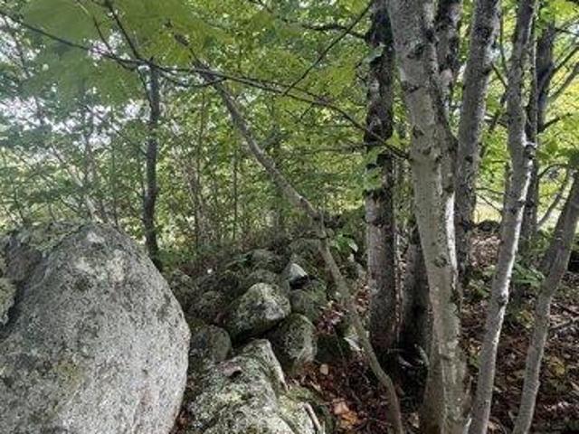 Land for sale in Paris, Oxford County